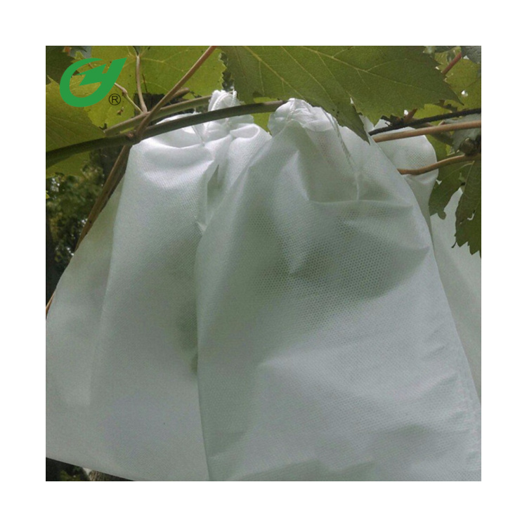 PLA Fruit Cover Bag